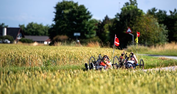 Cykling er et af hovedfagene på sommerhøjskolen igen i 2023. Foto: Egmont Højskolen