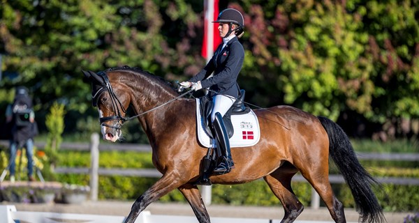 Foto: FEI/Arnd Bronkhorst