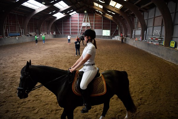 Rytter og smuk mørk hest træner i ridehus