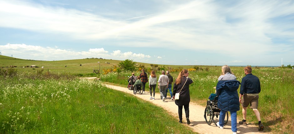 Udsigtstårn uden trapper og shelters med lift: Få overblik over mere end 100 tilgængelige naturoplevelser i hele landet