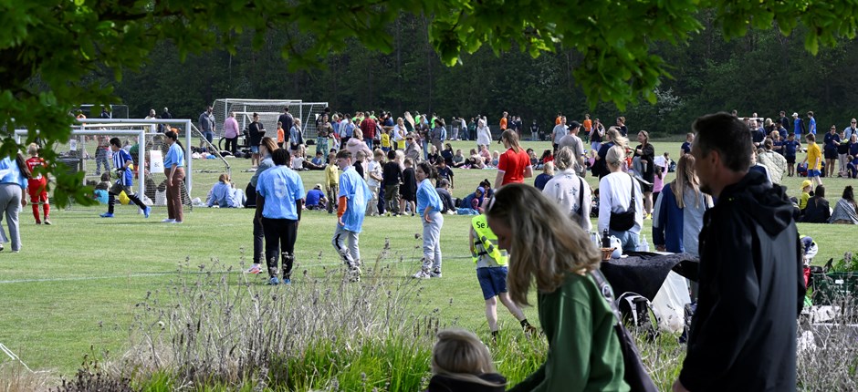 BOLD, BEGEJSTRING OG BRØL