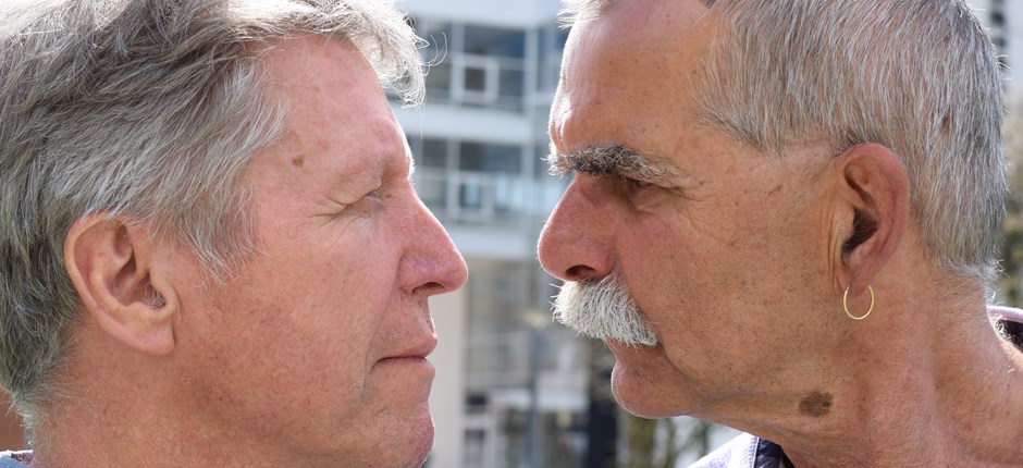 RODEN OG PRAGMATIKEREN