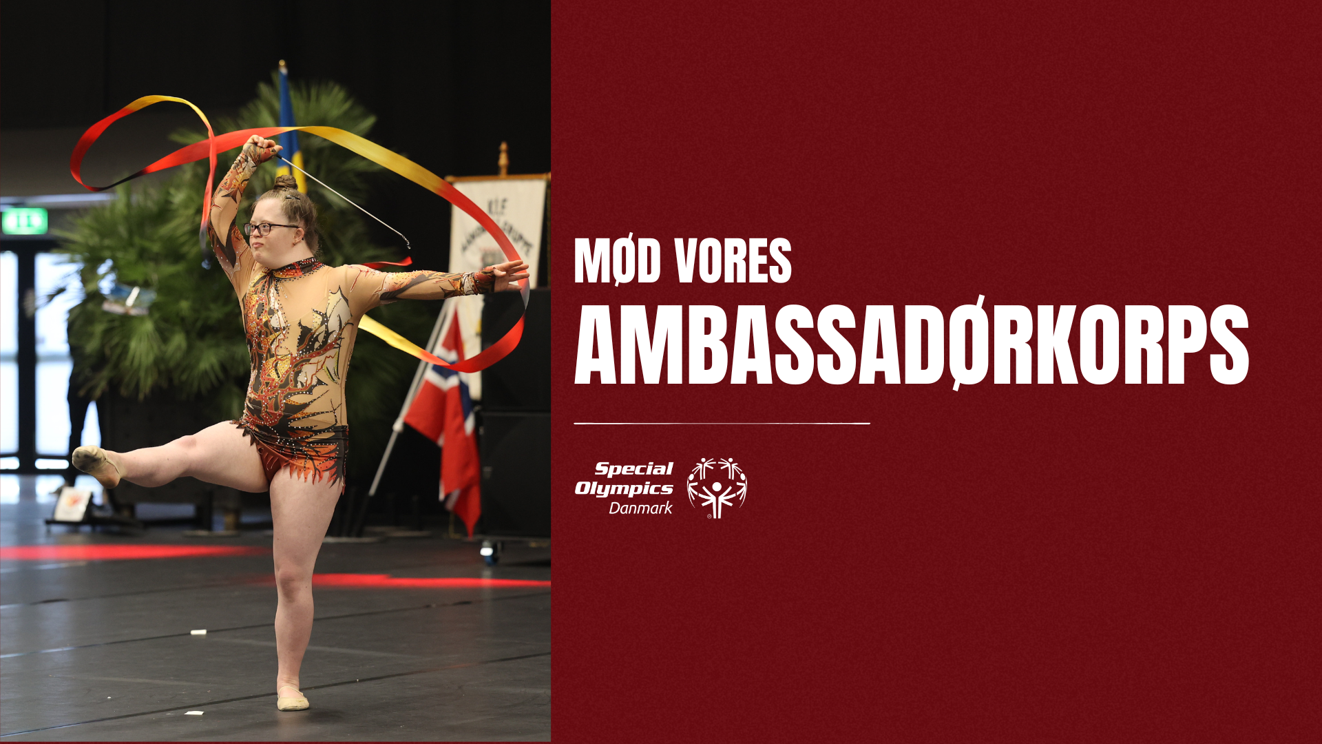 Ambassadørkorps 