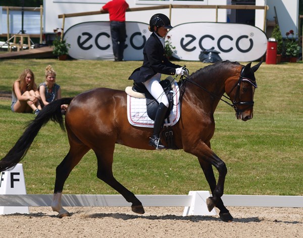 Line Thorning Jørgensen under EM i paradressur 2013, der blev afholdt i Herning. Foto: Dansk Ride Forbund.
